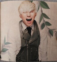 処分特価！【匿名配送・送料込み】D-LITE （from BIGBANG）D' scover 2013/02 AVEX CD _画像8