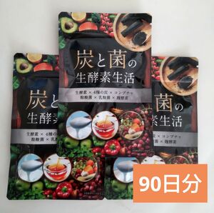 炭と菌の生酵素生活　3袋セット　90日分 コンブチャ 菌活