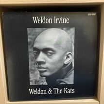 LP Weldon Irvine Weldon & The Kats Luv N' Haight LHLP 007_画像1