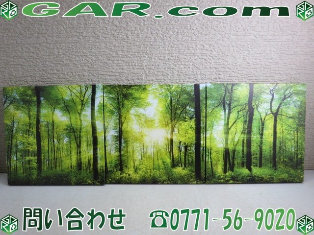 MH30 Royllent Art Panel Interior Art Forest Forest Canvas Painting Set of 3 Panel Set, artwork, painting, others