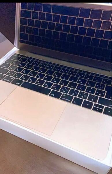 APPLE MacBook 2016 MACBOOK MLHE2J/A