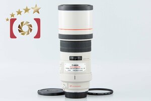 １円出品 Canon キヤノン EF 300mm f/4 L IS USM【オークション開催中】
