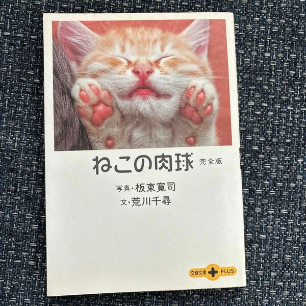 ねこの肉球完全版 （文春文庫ＰＬＵＳ） 荒川千尋／文　板東寛司／写真