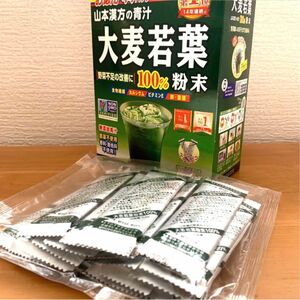 山本漢方の青汁　大麦若葉粉末100% スティック 3g×22包×1袋　無添加　無農薬　香料着色料不使用