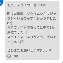 史上最強★絶対の自信あり★密度が違います★簡単培養ゾウリムシ500ml★ペットボトルで爆殖中★ビーシュリンプの餌に★生クロレラも出品中_画像2