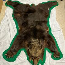 ●60201-11 熊 剥製 毛皮 敷物 ラグマット マット 頭付き 爪付き 現状品_画像1