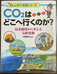 CO2はどこへ行くのか? : 炭素循環から考える気候変動