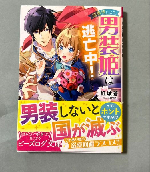 諸事情により、男装姫は逃走中！