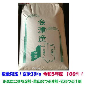 特価 数量限定 生活応援価格 玄米 30kg 令和５年産 会津米 大袋 石抜き 色彩選別機 処理済 精米小分け不可 東北～関西 送料無料