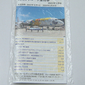 ANAグループ優待券 18枚 冊子●早来, 武蔵の杜ゴルフ ホテル等クーポン●有効期限2024年5月31日の画像2