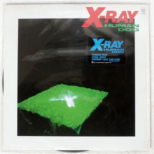 X-RAY/HUMAN DOG/TEICHIKU 12HS5 12