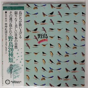 帯付き NONE/野鳥・声のスター　野鳥20種類　日本の自然　鳴き声/CANYON C24H0009 LP