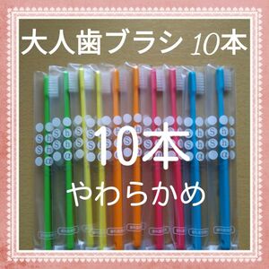 【131】歯科専売　シュシュα大人歯ブラシ　やわらかめ10本