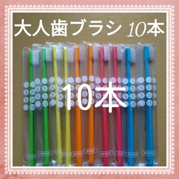 【186】歯科専売　シュシュα大人歯ブラシ「ふつう10本」