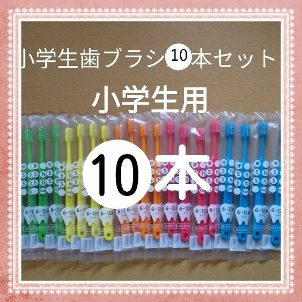 【163】歯科専売　小学生歯ブラシ「ふつう10本」