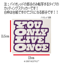 ゆうパケット送料無料 YOLO YOU ONLY LIVE ONCE カッティング ステッカー キックス エクストレイル セレナ ルークス オーナー様におすすめ_画像2