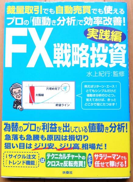 FX戦略投資 水上紀行