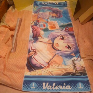  new goods unused .. squirrel Misty rear! fibre summer towel .. mistake! anime beautiful young lady play mat 