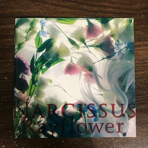 (B483)帯付 中古CD300円 Rayflower Narcissus