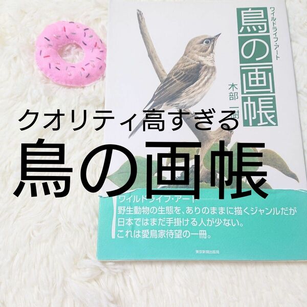 鳥の画帳 ワイルドライフアート／木部一樹 (著者)ブランド：ー