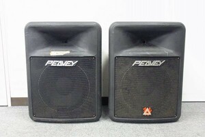 X153-Y32-761【引取限定】PEAVEY IMPULSE 200 スピーカー ペアセット 現状品③＠