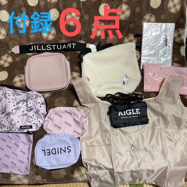 付録セット6点セット snidel JILLSTUART ムーミン AIGLE
