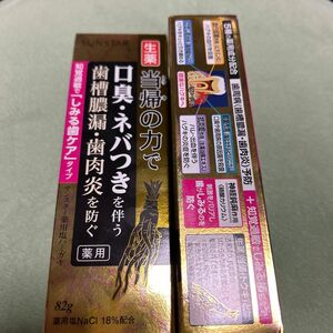 当帰の力 薬用 塩ハミガキ しみる歯ケアタイプ メディカルハーブミント 82g