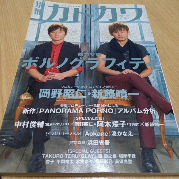 別冊カドカワ ポルノグラフィティ特集