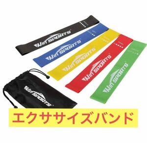 【新品未使用】ヘビーレジスタンスバンド セット トレーニングストラップ トレーニングバンド バンド トレーニング