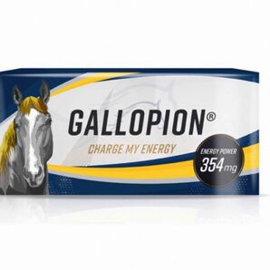 定価4980円　GALLOPION 30日分