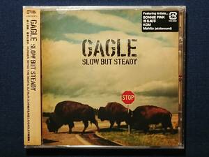 未開封プロモ盤CD「GAGLE - SLOW BUT STEADY」/アルバム/PCCA-03005/BONNIE PINK/椎名純平/非売品