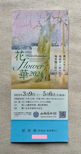 花・flower・華 2024　山種美術館　招待券1枚
