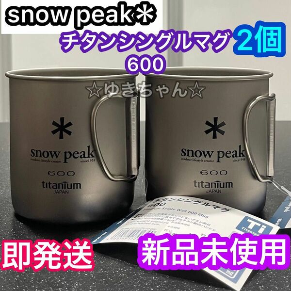 海外限定品 スノーピーク チタン シングルマグ 600 2個セットMG-044R【snow peak】新品未使用　正規品