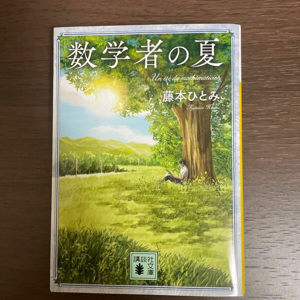 数学者の夏 （講談社文庫　ふ４８－１１） 藤本ひとみ／〔著〕