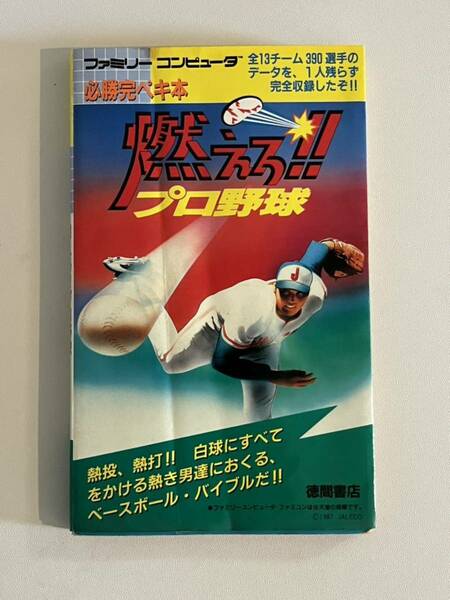 燃えろプロ野球 FC 攻略本 双葉社 野球 ファミコン レア