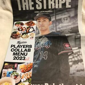 ロッテ　THE STRIPE CHIBA LOTTE MARINES 小島和哉さん表紙　球場内グルメパンフレット