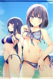 冴えない彼女の育てかた B2加藤ちゃん＆詩羽先輩タペストリー 加藤恵＆霞ヶ丘詩羽(溝口ケージ) C90/NtyPe