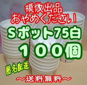 ◆送料無料◆匿名配送◆Sポット75 白 100個 スリット鉢 プラ鉢 2.5号 7.5cm プレステラ 丸型 多肉植物