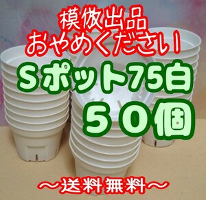 ◆送料無料◆Sポット75 白 50個 スリット鉢 プラ鉢 2.5号 7.5cm プレステラ 丸型 多肉植物