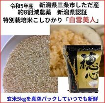 令和5年産　減農薬　新潟こしひかり玄米真空パック5kg　新潟県三条市旧しただ村産　新潟県認証　特別栽培米100% 白雪美人_画像1