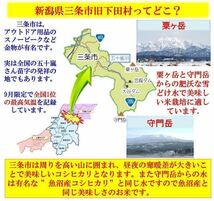 訳あり　減農薬　新潟こしひかり米粉4.5kg　令和5年産　新潟県三条市旧しただ村産　新潟県認証特別栽培米100%使用　グルテンフリー　偽装無_画像4