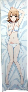 * стандартный товар вскрыть товар Dakimakura покрытие также Я. юность Rav kome. ......... один цвет ... .. внизу .. premium форма & белый бикини 