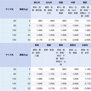 KSC マカロフ ダミーカート シール マガジン２本分１セット/Part99の画像4