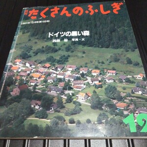 たくさんのふしぎ　ドイツの黒い森