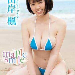 即決 送料無料 [中古 セル版 DVD] 山岸楓 「maple smile」 (イメージ グラビア アイドル グラドル 写真集 コスプレ 着エロ)