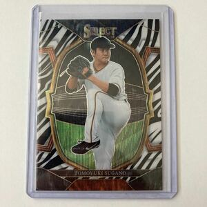 菅野智之 2023 PANINI SELECT BASEBALL MLB CONCOURSE ZEBRA SP ショートプリント 巨人 読売ジャイアンツ パラレルカード