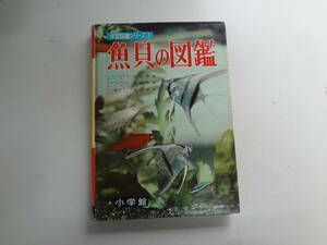 お2-f02【匿名配送・送料込】　魚貝の図鑑　　小学館　　学習図鑑シリーズ　3