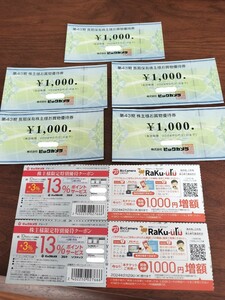  ビックカメラ 株主優待券　5,000円分（1,000円×5枚）【 有効期限2024年5月31日まで】