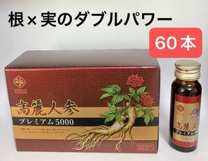 6年根高麗人参プレミアム５０００ 根×実のダブルパワー 話題のジンセンベリー配合 スタミナ・滋養を速攻チャージ！ FMG