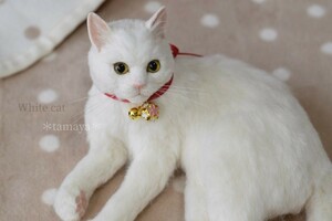 ＊tamaya＊羊毛フェルト＊白猫 ＊ ハンドメイド ＊猫＊ ＊